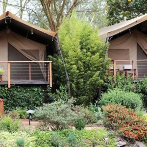 Wildebeest Eco Camp Zelte