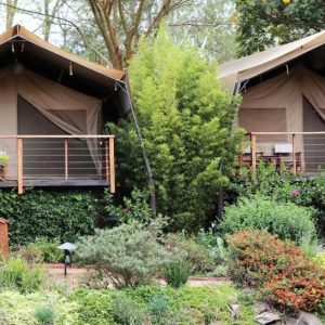 Wildebeest Eco Camp Zelte