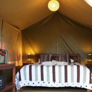Wildebeest Eco Camp, Zelte