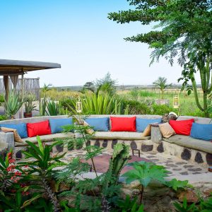 Zebra Plains Camp, schöne Feuerstelle