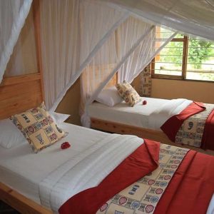 Kolo room, African View Lodge