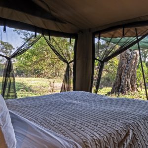 basecamp-adventure-camp-tent-interior