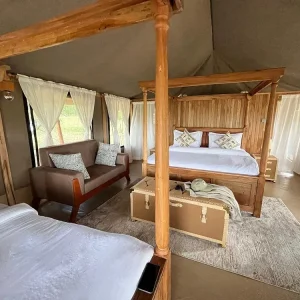 Intowild Camp, Zimmer