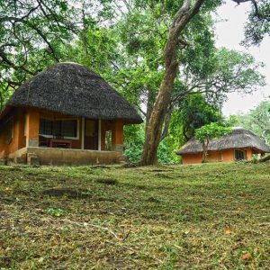 Chalets im Garten