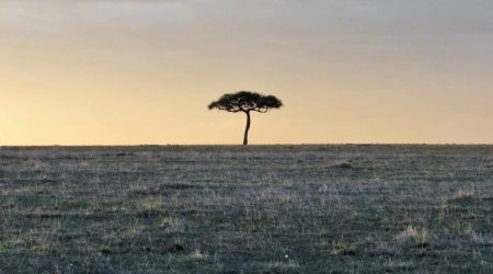 Masai Mara, Sundowner