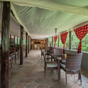 masai-mara-luxury-safari