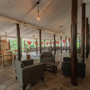 Drunken Elephant Camp