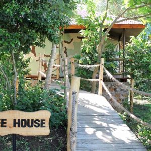 Tree house, African View Lodge