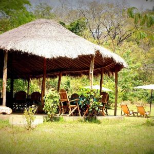Udzungwa Forest Camp